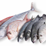 Свежемороженная рыба оптом в России